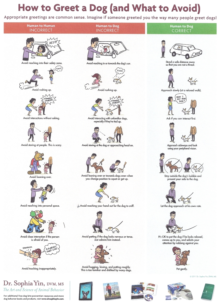 How Should You Greet A Dog? Franklin Animal Clinic Inc. Franklin, PA